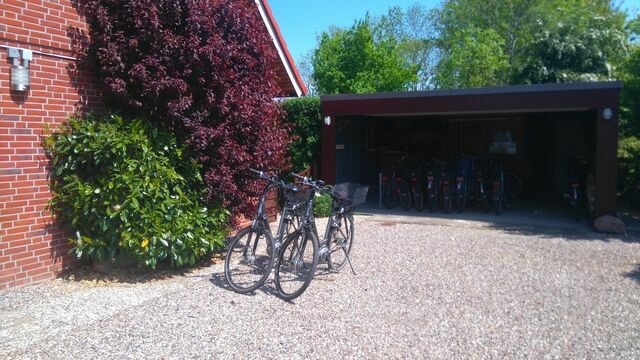 Ferienwohnung in Fehmarn - Seestern - Bild 11