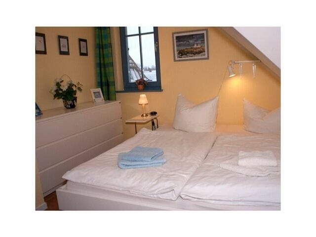 Ferienhaus in Zingst - FH Carpe Diem - Bild 6