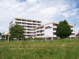 Ferienwohnung in Kellenhusen - Koch - Bild 1