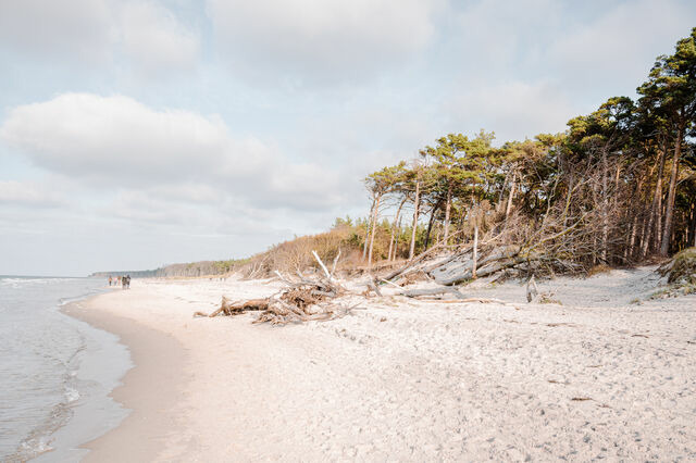 Ferienwohnung in Ahrenshoop - Strandperle mit Balkon - Bild 9