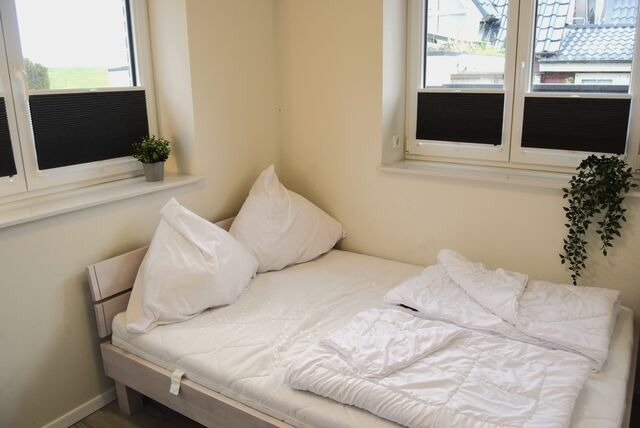 Ferienhaus in Kalifornien - Meister, Ramona und Nils: "Haus Kaptain" - Bild 18