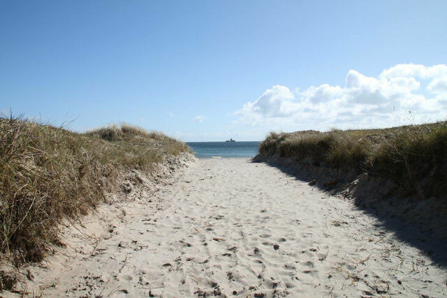 Ferienwohnung in Gro&szlig;enbrode - M&ouml;wennest 14 - Gro&szlig;enbrode - Bild 16