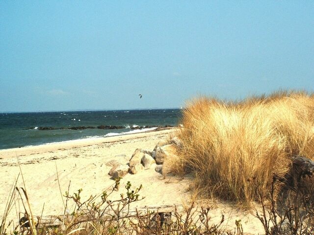 Ferienwohnung in Heiligenhafen - exclusives Hausboot "Tante Trost" - Bild 13