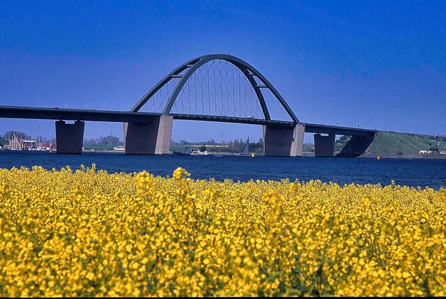 Ferienwohnung in Gro&szlig;enbrode - Meerblick 5 - Gro&szlig;enbrode - Bild 16
