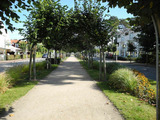Ferienhaus in Baabe - Seebrise Baabe - Bild 17