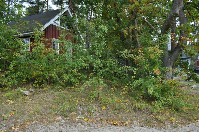 Ferienhaus in Baabe - Wellenreiter - Baabe - Bild 18