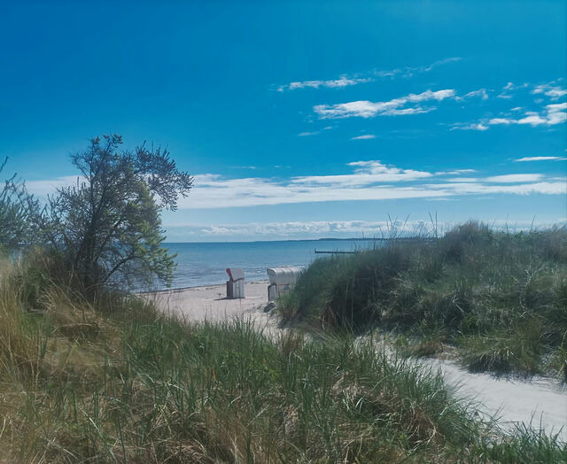 Ferienwohnung in Großenbrode - Meerblick 12 - Großenbrode - Bild 12
