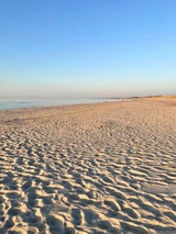 Ferienwohnung in Dierhagen - Meeresrauschen 03 - Bild 19