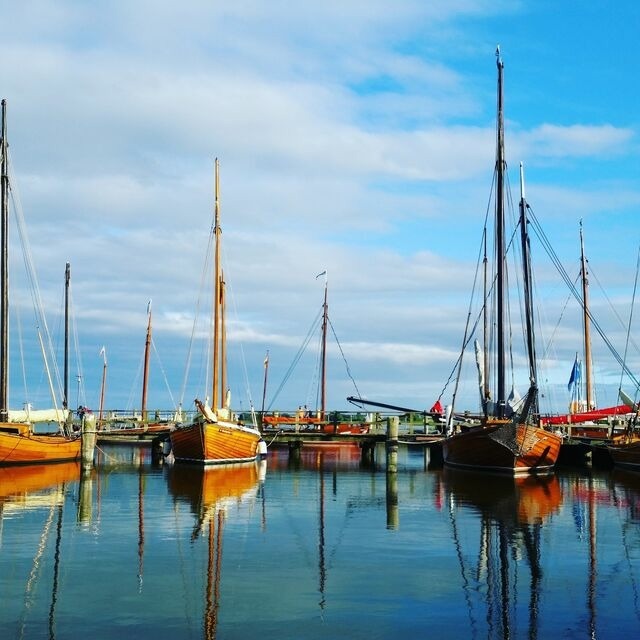 Ferienwohnung in Dierhagen - Meeresrauschen 03 - Bild 22