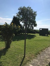 Ferienwohnung in Fehmarn OT Wulfen - Golfhüs Simone, Ferienwohnung-Südbalkon - Bild 20