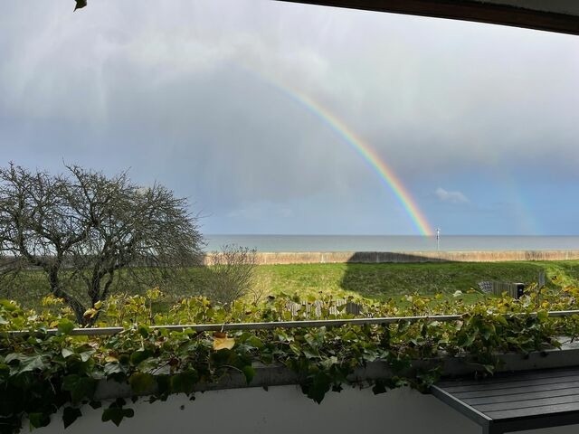 Ferienwohnung in Dahme - Haus Panorama Seemuschel - Bild 8