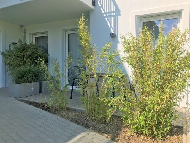 Ferienwohnung in K&uuml;hlungsborn - App. 6, Strandresidenz D&uuml;nenperle - Bild 15