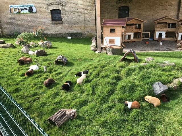 Ferienhaus in Fehmarn OT Staberdorf - Reetdachhaus 1, inkl. 2 Parkpl&auml;tze - Bild 22