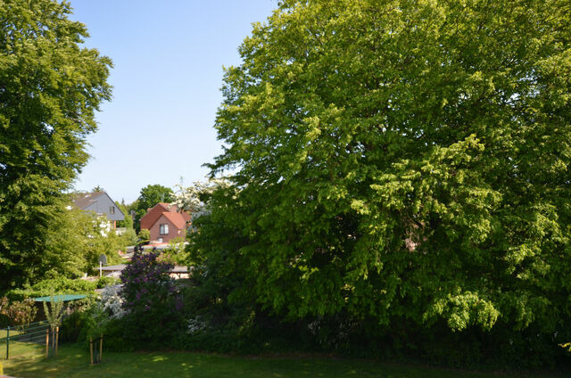 Ferienwohnung in Kellenhusen - FeWo Lotte - Bild 3