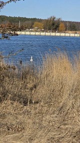 Ferienhaus in L&uuml;tow - Ferienhaus K&ouml;hler Am Achterwasser , Urlaub mit Hund - Bild 24