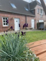 Ferienwohnung in Fehmarn OT Wulfen - Frederik Br&uuml;ckenblick - Bild 22