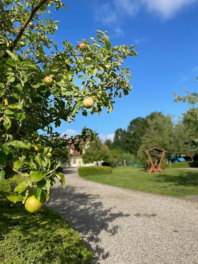 Ferienwohnung in Fehmarn OT Wulfen - Frederik Br&uuml;ckenblick - Bild 23
