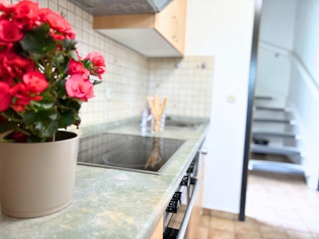 Ferienwohnung in Fehmarn OT Wulfen - Max Bienenwachs - Bild 6