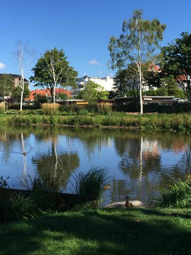 Ferienwohnung in Scharbeutz - Maris Ferienwohnung Nr. 47 (OG mit Balkon und Meerblick) - Bild 25