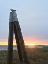 Ferienwohnung in Scharbeutz - StrandVILLA Scharbeutz mit Dünenblick direkt am Strand - Bild 14