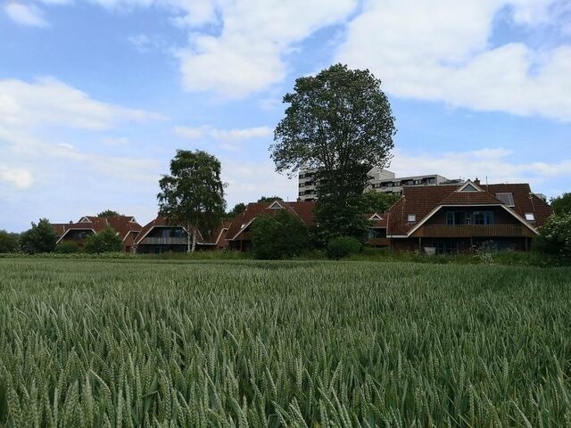 Ferienwohnung in Dahme - Jacobihof Haus B4 Wohnung 2 - Bild 6