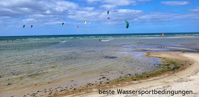 Ferienwohnung in Wendtorf - Austernfischer - Bild 23