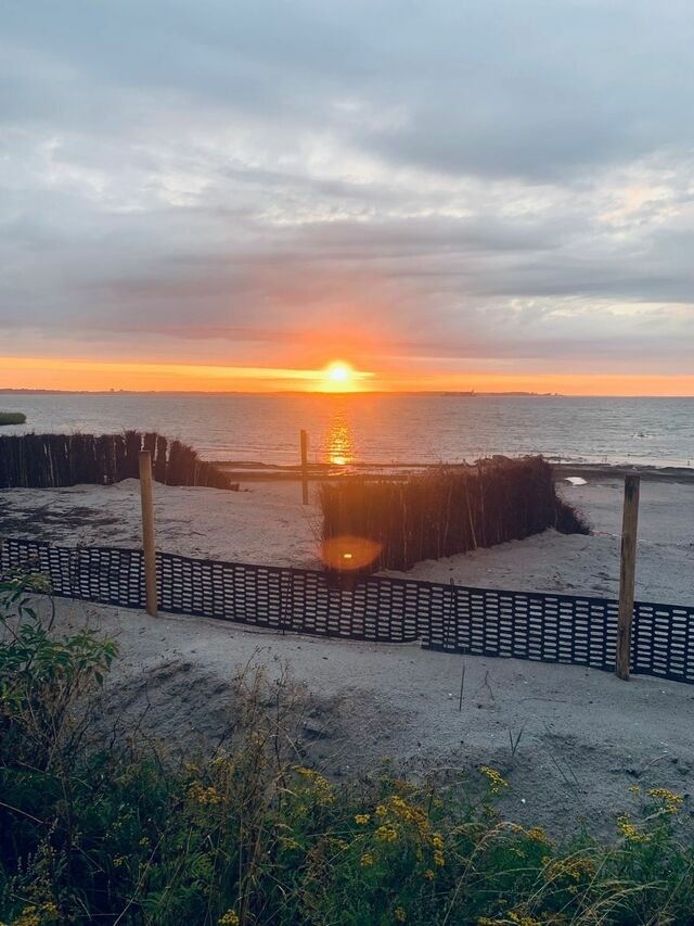 Ferienwohnung in Wendtorf - Austernfischer - Bild 15