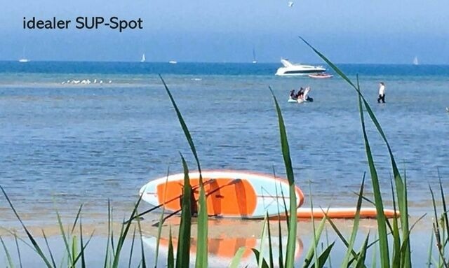 Ferienwohnung in Wendtorf - Strandl&auml;ufer - Bild 23