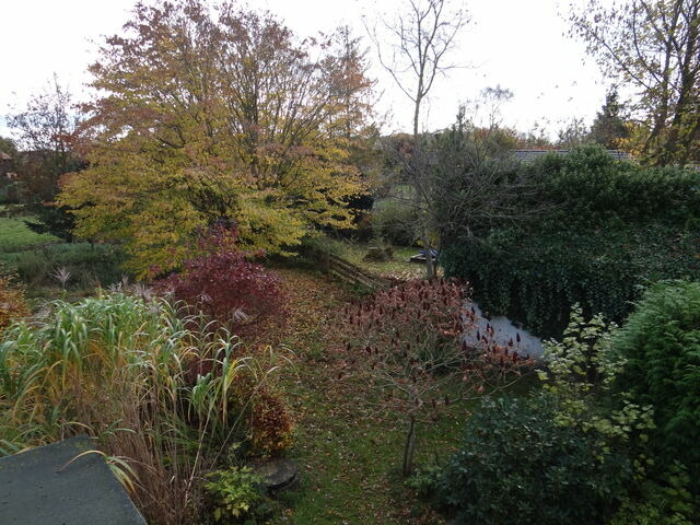 Ferienhaus in Ulsnis - Ferienhaus Alte Schmiede - Bild 11