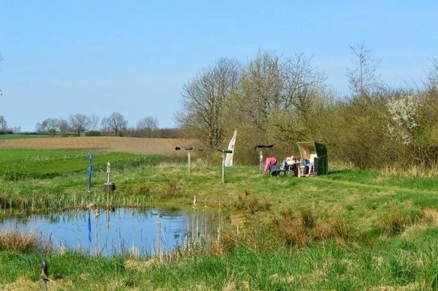 Ferienwohnung in Holzdorf - Ferienwohnung im Skulpturengarten Grünlund - Bild 16