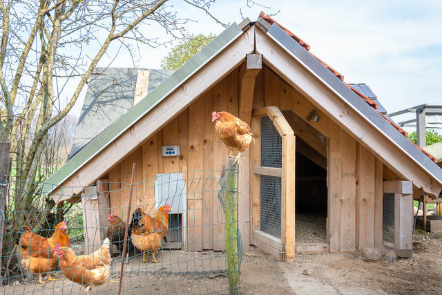 Ferienwohnung in Waabs - Ostseegarten Langholz - Ferienwohnung Silberm&ouml;we (bis 6 Pers) - Bild 24