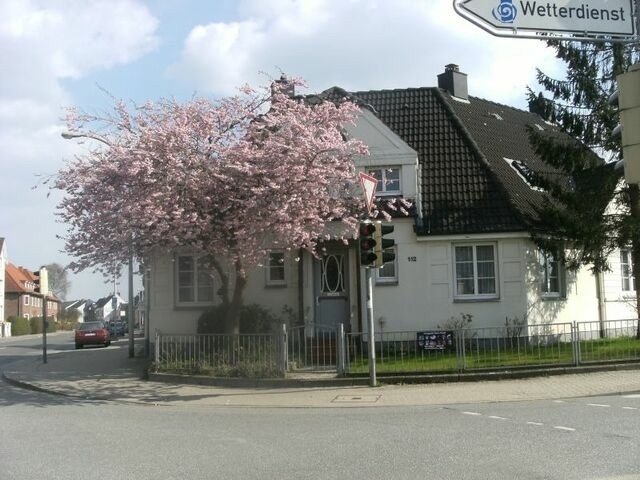 Ferienwohnung in Schleswig - Ferienwohnung Müller-Wulf - Bild 10