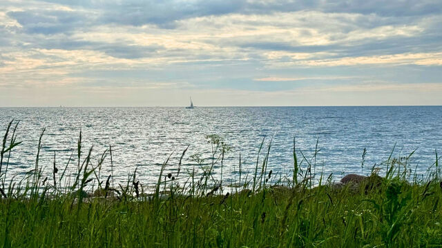 Ferienwohnung in Gro&szlig;enbrode - M&ouml;wennest 13 - Gro&szlig;enbrode - Bild 21