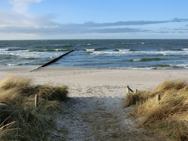Ferienwohnung in Ostseeheilbad Zingst - Sun & Sea/ Whg. 5 - Bild 21
