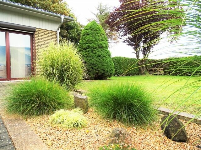 Bungalow in Lensterstrand - Sommerwind - Bild 2