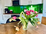 Ferienwohnung in Zingst - Magister Wigbold 3.1 - Bild 6
