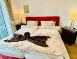 Ferienwohnung in Zingst - Magister Wigbold 3.1 - Bild 9