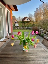 Ferienwohnung in Zingst - Magister Wigbold 3.1 - Bild 18