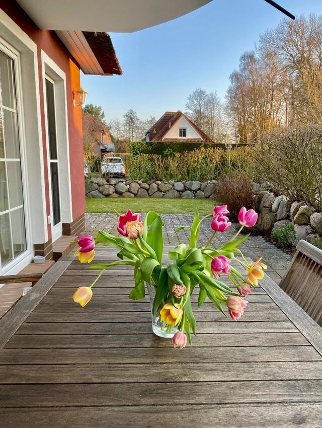 Ferienwohnung in Zingst - Magister Wigbold 3.1 - Bild 18
