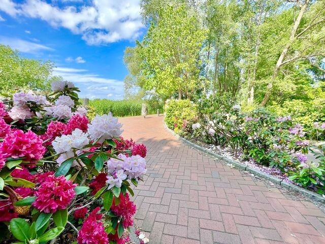 Ferienwohnung in Binz - Schl&ouml;sschen am Meer - Bild 6