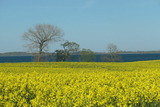 Ferienwohnung in Gelting-Niesgrau - Ferienwohnung Hafenblick Ferienhof Geltinger Bucht - Bild 21