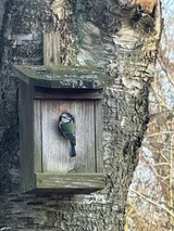 Ferienhaus in Haby - IM BAU Herrmannshof Haby App 5 Grodehus - Bild 9
