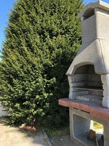 Ferienwohnung in Grömitz - Haus Frauken - Wohnung Berg - Bild 3 Ferienwohnung in Grömitz - Haus Frauken - Wohnung Berg - Bild 3