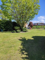 Ferienwohnung in Fehmarn OT Petersdorf - Ferienhof Haltermann Ferienwohnung Nr.3 OG - Bild 19