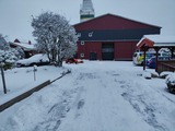 Ferienwohnung in Fehmarn OT Petersdorf - Ferienhof Haltermann Wohnung Nr. 4 OG - Bild 25