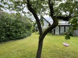 Ferienhaus in Graal-Müritz - Das kleine Ferienhaus - Bild 3