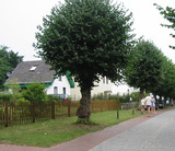 Ferienhaus in Graal-Müritz - Das kleine Ferienhaus - Bild 4