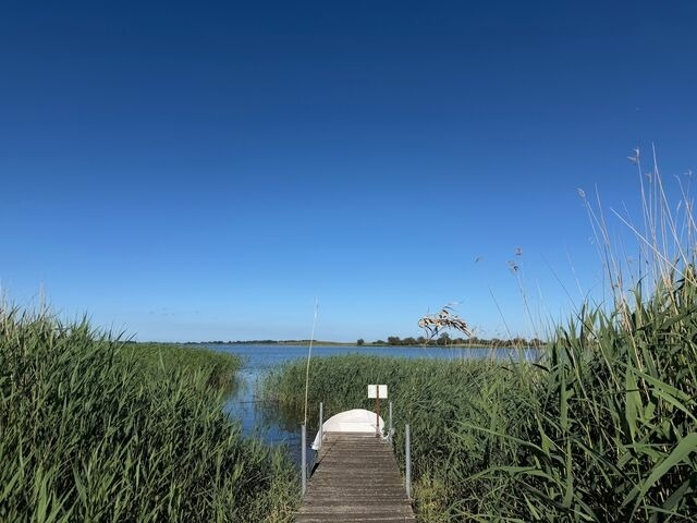 Ferienwohnung in Garz - Ferienwohnung - R&uuml;genbrise mit Seeblick mit 3 B&auml;dern, Steg und Paddelboot - alle inklusive - Bild 4
