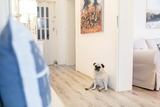 Ferienhaus in Gr&ouml;mitz - Ambiente Gr&ouml;mitz - Bild 11