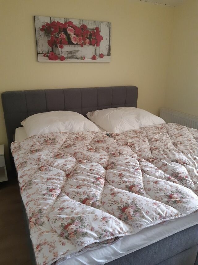 Ferienwohnung in Fehmarn OT Westerbergen - An der alten Pappel Nr. 3 - Bild 6